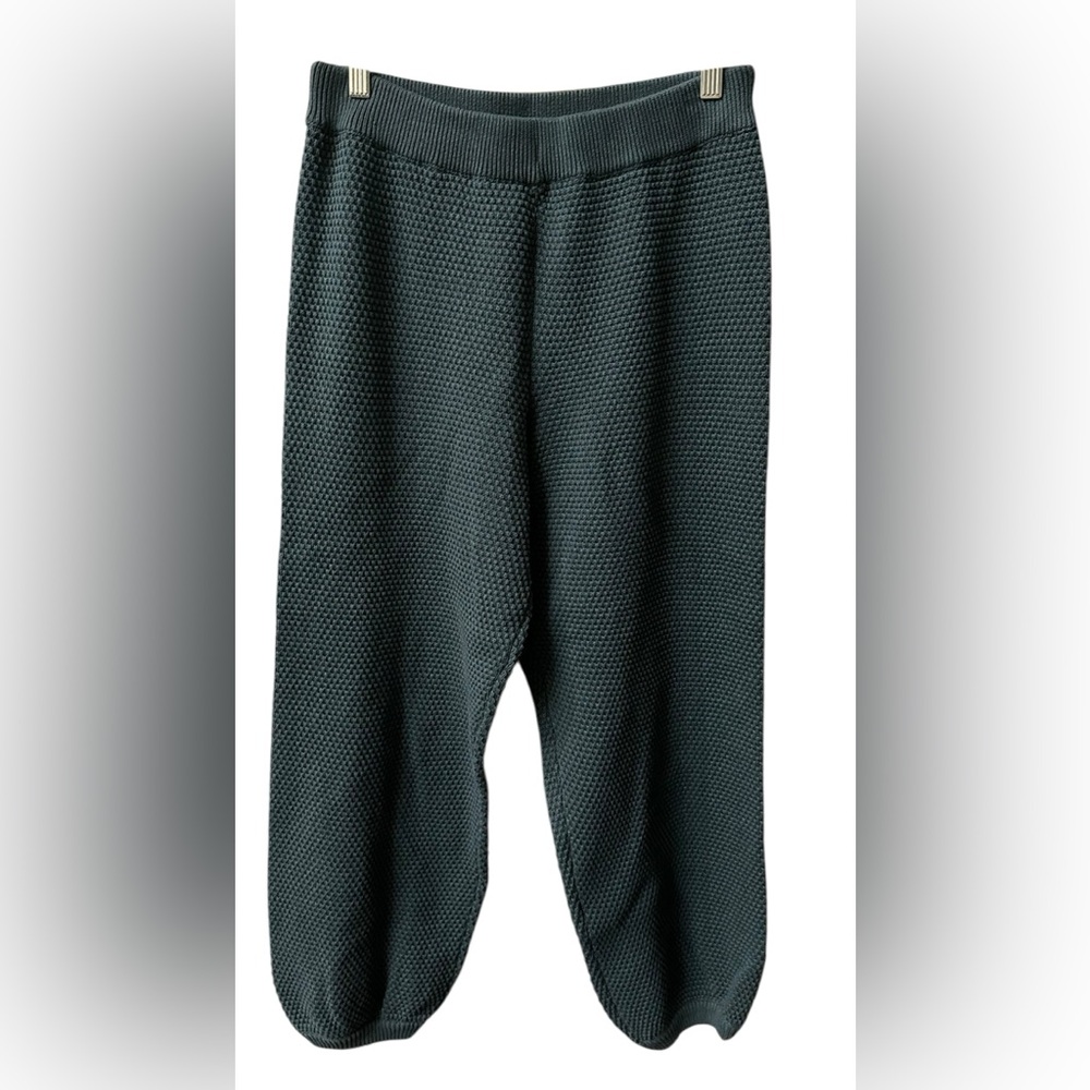 Free People Beach Hailee Knit Pants in Balsam 100% Cotton Jogger BNWT Size Small